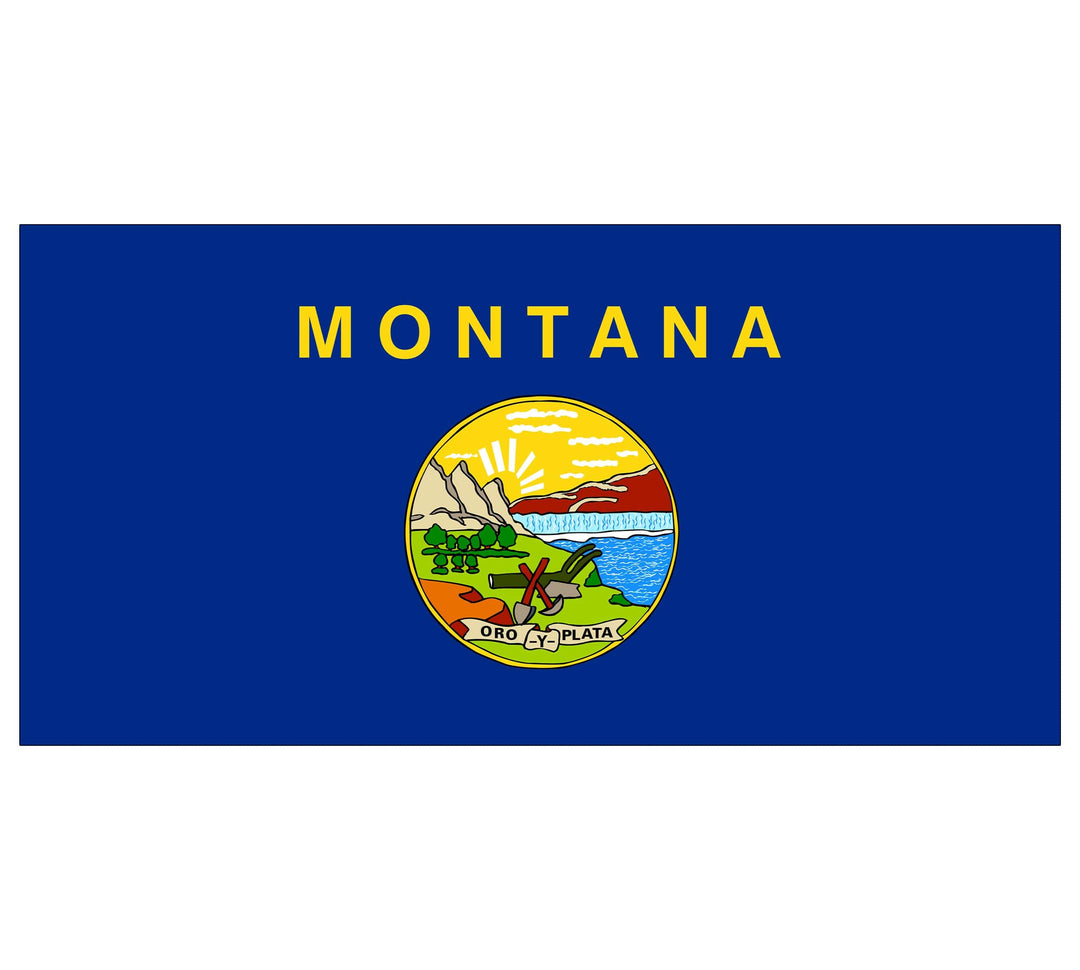 Slick Woody's Cornhole Co. Montana State Flag Underwater Pool Mat