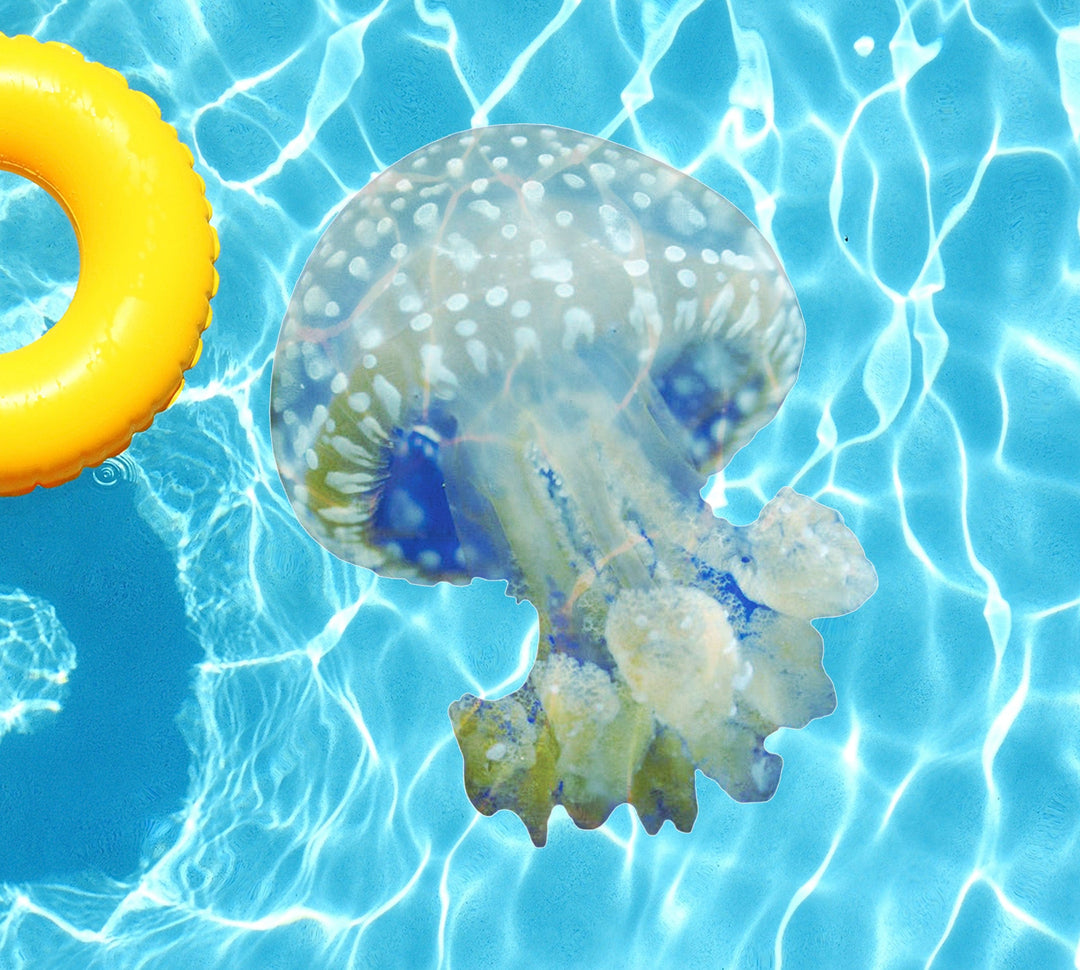 Slick Woody's Cornhole Co. Sea Creatures Pool Tattoo Jellyfish Underwater Pool Mat Tattoo
