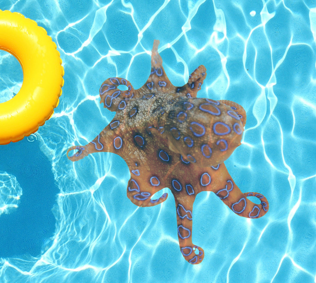 Slick Woody's Cornhole Co. Sea Creatures Pool Tattoo Orange Octopus Underwater Pool Mat Tattoo